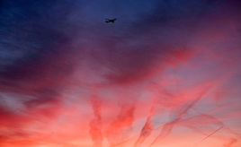 Neubauer: Senkung von Flugsteuer ist 