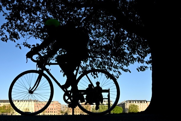 Bild vergrößern: Diebe angeln sich vom Dach aus Fahrräder: Eine Million Euro Schaden