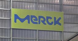 Merck-Chefin sieht Situation in Deutschland leicht positiv