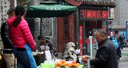 Grüne fordern mehr Einsatz gegen unfaire Handelspraktiken Chinas