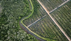 Abholzungsgesetz: Mehrheit der EU-Länder für Aufschub um ein weiteres Jahr