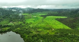 Deutschland sagt eine Milliarde Euro für Waldfonds TFFF zu