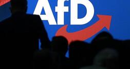 Grüne kritisieren Annäherung von Familienunternehmer-Verband an AfD