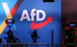 Scharfe Kritik an neuer AfD-Strategie der Familienunternehmer