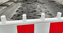 Bauhauptgewerbe verzeichnet mehr Aufträge