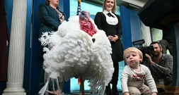 Vor Thanksgiving: US-Verbrauchervertrauen auf Sieben-Monats-Tief