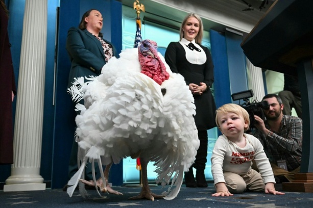 Bild vergrößern: Vor Thanksgiving: US-Verbrauchervertrauen auf Sieben-Monats-Tief