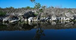 US-Nationalparks: Ab Januar deutlich höherer Eintritt für ausländische Touristen