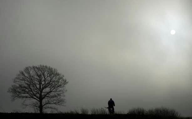 Bild vergrößern: Sturz durch herausragenden Ast: Landgericht Magdeburg weist Klage von Radfahrer ab