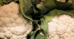 Neuer Ernährungsreport: Verbraucher achten wieder mehr auf den Preis