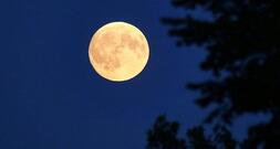 Deutscher soll zum Mond fliegen