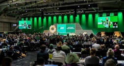 Grüne setzen Parteitag mit Beratungen zu Klimaschutz und Energiewende fort