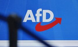 Ökonomen warnen vor Gesprächen mit der AfD
