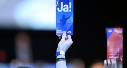 Statut für neue AfD-Jugendorganisation beschlossen