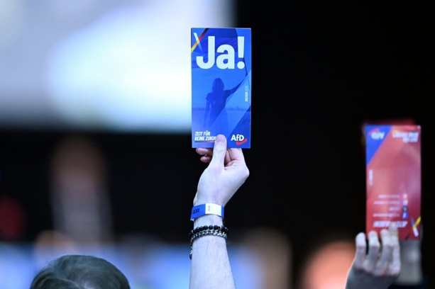 Bild vergrößern: Statut für neue AfD-Jugendorganisation beschlossen