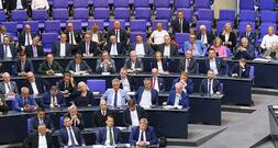 Mercosur-Abkommen spaltet AfD-Bundestagsfraktion