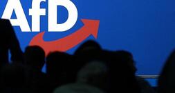 Rufe nach Vorbereitungen für AfD-Verbotsverfahren wieder lauter