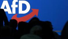 Rufe nach Vorbereitungen für AfD-Verbotsverfahren wieder lauter