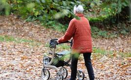 Ökonom kritisiert Rentenpolitik der Bundesregierung