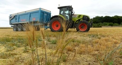 Womöglich letzte Verhandlungsrunde für EU-Gentechnik-Reform begonnen