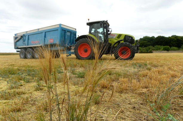 Bild vergrößern: Womöglich letzte Verhandlungsrunde für EU-Gentechnik-Reform begonnen