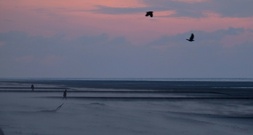 Bestattungsschiff strandet vor Juist - Seenotretter holen Passagiere von Bord