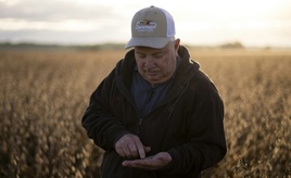 Weißes Haus: Trump plant Agrarhilfen von zwölf Milliarden Dollar