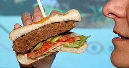 Namensverbot für Veggie-Burger geht in womöglich letzte EU-Verhandlungsrunde