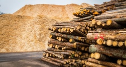 Studie: Reststoffe aus Ackerbau und Holzwirtschaft können großen Kimabeitrag leisten