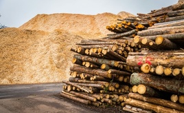 Studie: Reststoffe aus Ackerbau und Holzwirtschaft können großen Kimabeitrag leisten