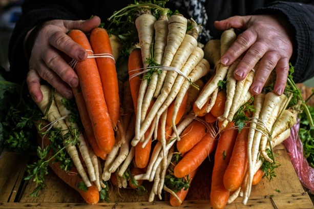 Bild vergrößern: Vegetarischer Wolf aus französischem Supermarkt-Werbespot geht viral