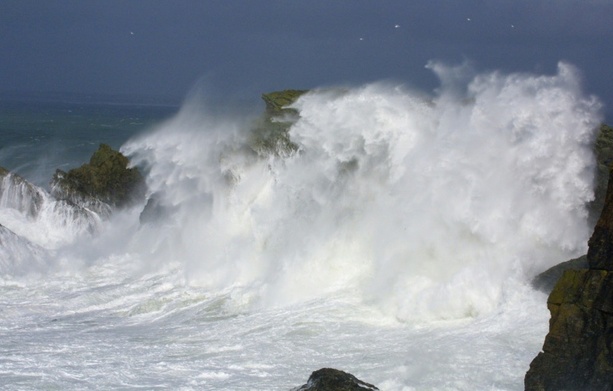 Bild vergr&ouml;&szlig;ern: Französische Forscher entdecken 7000 Jahre alte Mauer im Atlantik