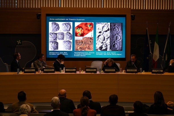 Bild vergr&ouml;&szlig;ern: Hunderte Meter Dinosaurier-Spuren in italienischen Alpen entdeckt