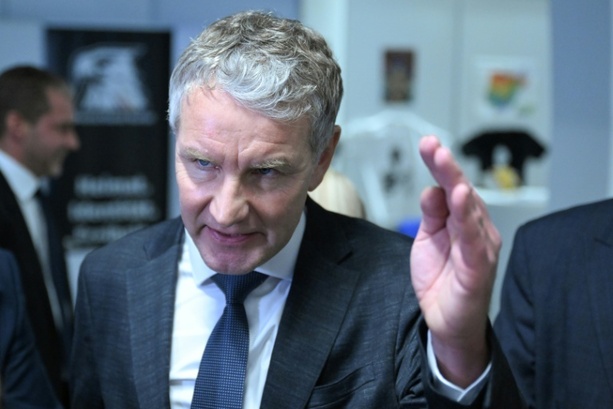 Bild vergr&ouml;&szlig;ern: Rechtsstreit um Interviewäußerung: AfD klagt erfolgreich gegen Verfassungsschutzchef