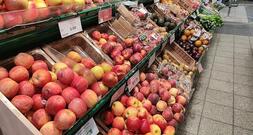 Obstbaubetriebe verzeichnen ertragreiches Jahr im Apfelanbau