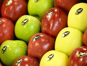 Sehr gute Apfel- und Pflaumenernte: Menge deutlich über dem Durchschnitt