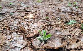 Dax-Konzerne bilden kaum Rückstellungen für Klimarisiken