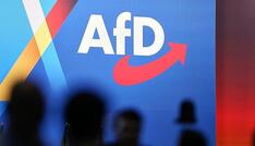 EKD-Präses: Kirchenämter unvereinbar mit AfD-Funktionärstätigkeiten