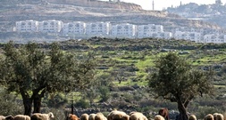 Israels Regierung genehmigt 19 neue Siedlungen im Westjordanland