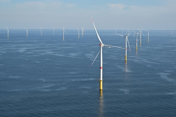 Bild vergr&ouml;&szlig;ern: Wegen nationaler Sicherheit: USA stoppen Offshore-Windprojekte
