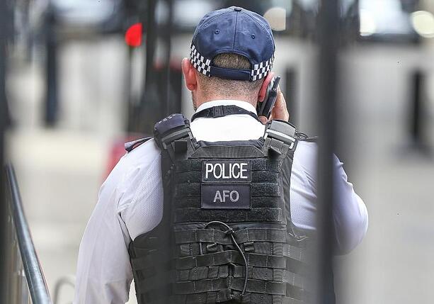 Bild vergr&ouml;&szlig;ern: Greta Thunberg bei Demo in London festgenommen
