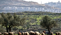 Israel kündigt Errichtung von Außenposten im Gazastreifen an