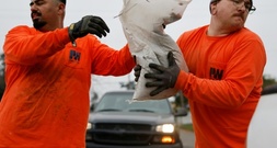 Kalifornien bereitet sich auf