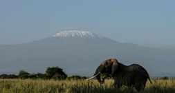 Fünf Tote bei Hubschrauberabsturz am Kilimandscharo