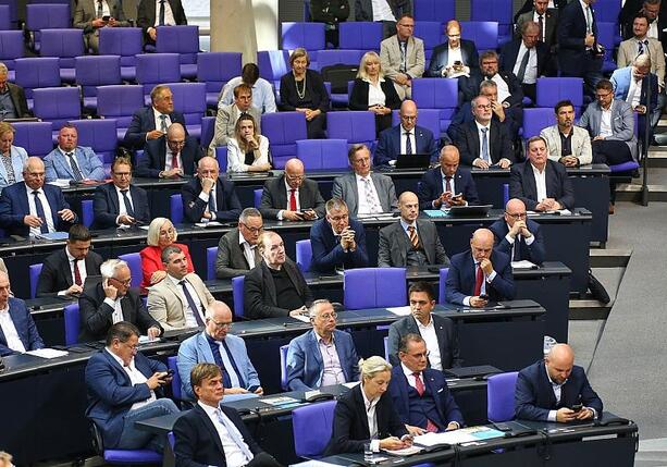 Bild vergr&ouml;&szlig;ern: 35 Ordnungsrufe für die AfD im Bundestag seit Neuwahl