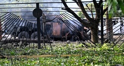 Venezuela: Bundesregierung besorgt - Kritik aber auch Zuspruch für USA