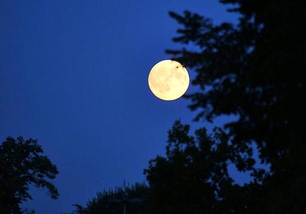 Bild vergr&ouml;&szlig;ern: CSU will Deutschland zum Weltraumzentrum Europas machen