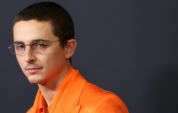 Bild vergr&ouml;&szlig;ern: Preis der Filmkritiker: Timothée Chalamet baut Stellung als Oscar-Anwärter aus