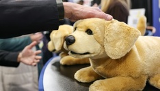 Bühne für die Künstliche Intelligenz: Technikmesse CES startet in Las Vegas