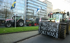 EU-Landwirtschaftsminister diskutieren über Agrarpolitik und Mercosur-Abkommen